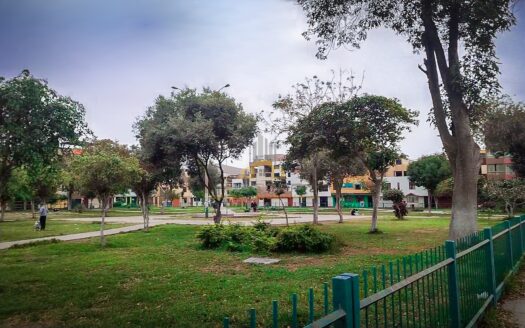 DEPARTAMENTO DE 70M2 FRENTE A PARQUE LOS JAZMINES – URB. COVIDA, LOS OLIVOS – LIMA